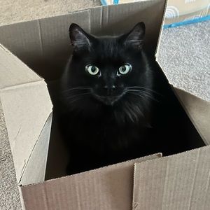 Meet your Posher, Sami